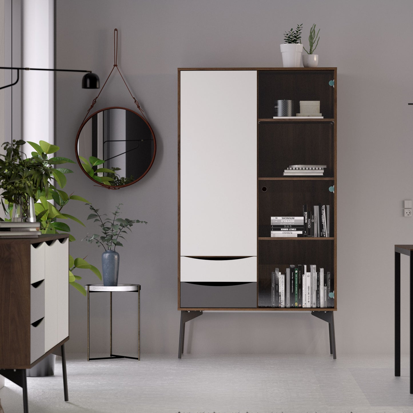 Fur Display Cabinet with 1 Door 1 Glass Door 2 Drawers