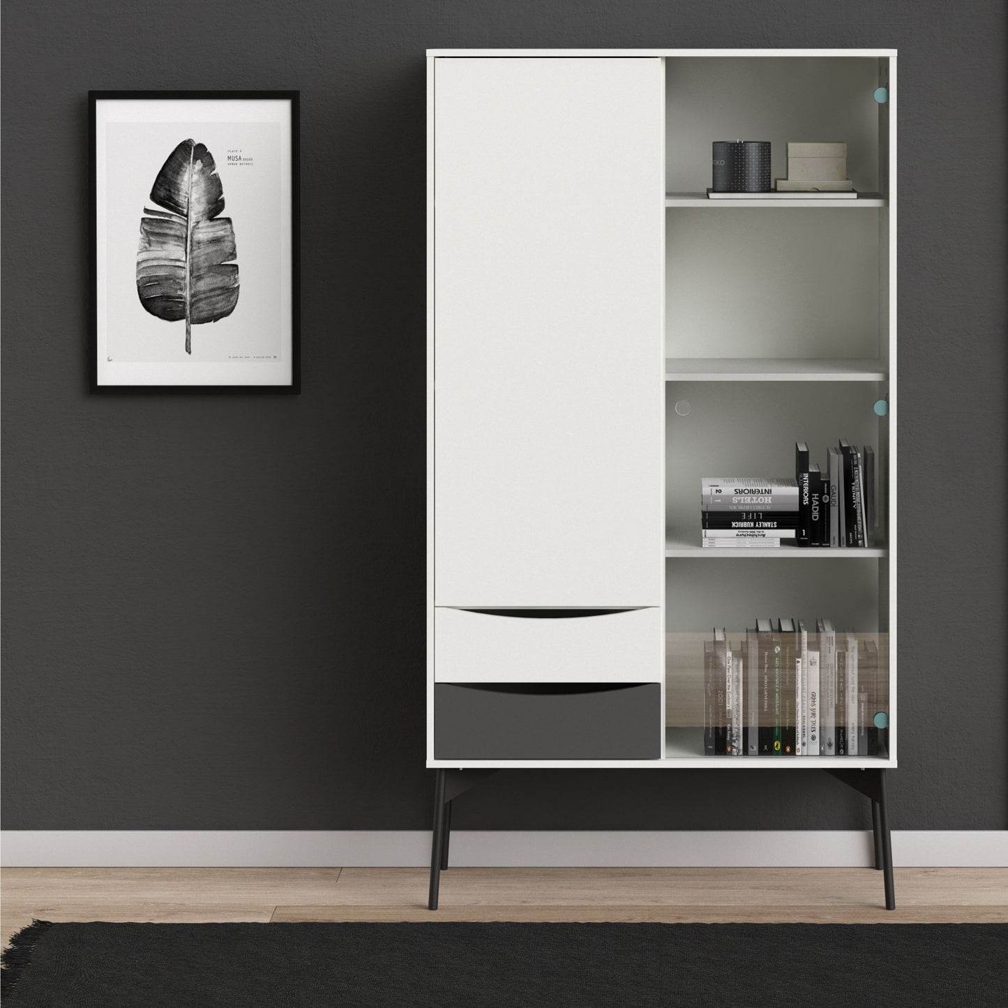 Fur Display Cabinet with 1 Door 1 Glass Door 2 Drawers